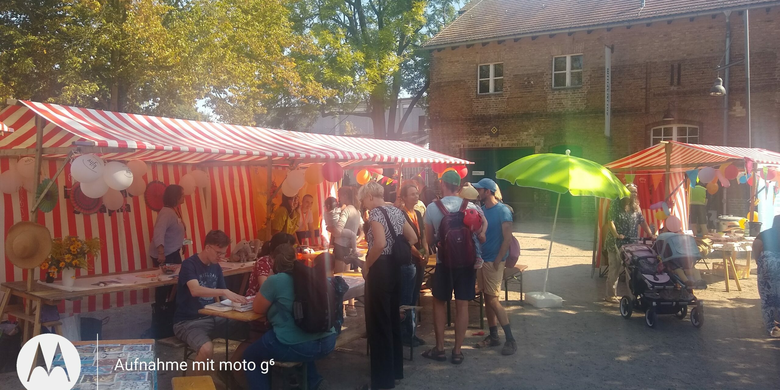 Foto PFT 2024 Domäne